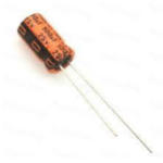 100uF 25V Electrolytic Capacitor